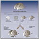 A graphical abstract of the team’s work.